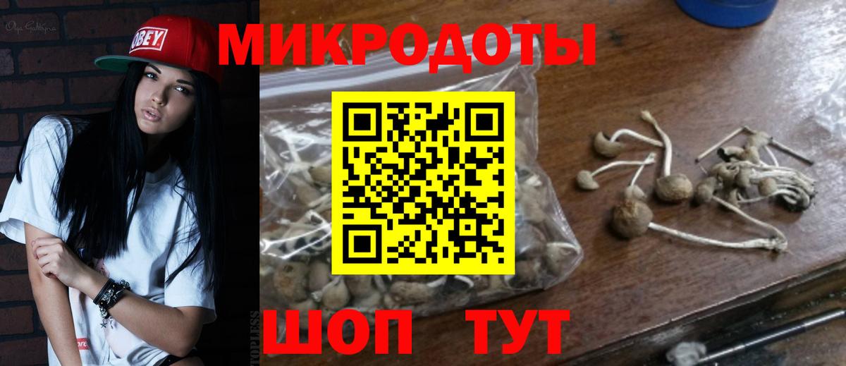 Псилоцибиновые грибы Cubensis  Вход с VPN  Кемерово  Псилоцибиновые грибы Psilocybe 